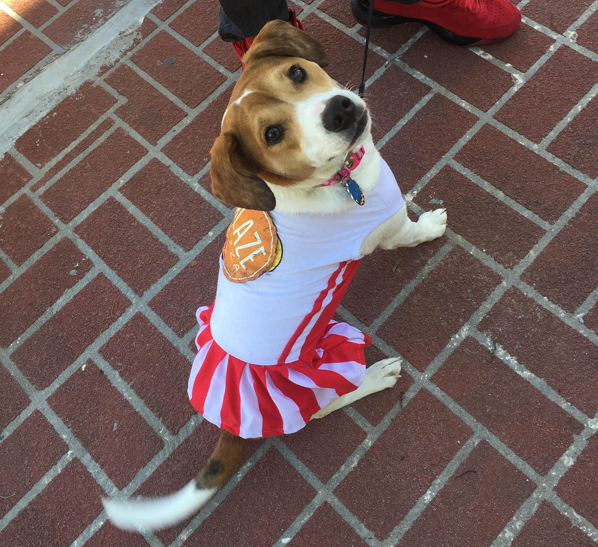 Blaze at University of Louisiana, Lafayette’s Open Air Market